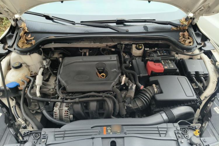 Used Ford Focus 2019 Hatchback 1.5L Automatic Fengeyue Model China VI Standard Engine Bay