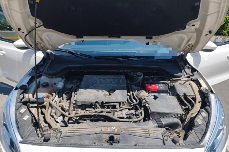 Used Ford Focus 2019 Hatchback EcoBoost 180 Automatic Trendy Model Engine Bay