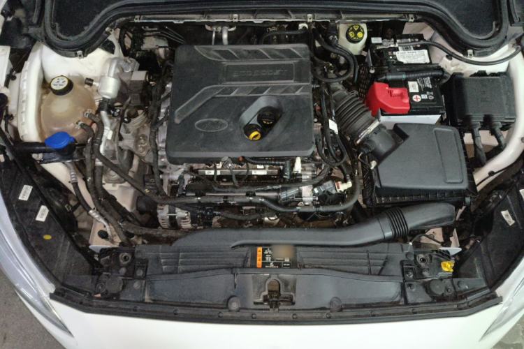 Used Ford Focus 2019 Sedan EcoBoost 180 Automatic Trend Edition Engine Bay