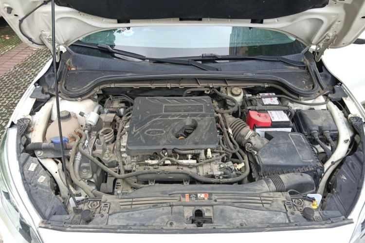Used Ford Focus 2019 Sedan EcoBoost 180 Automatic Trend Edition Engine Bay