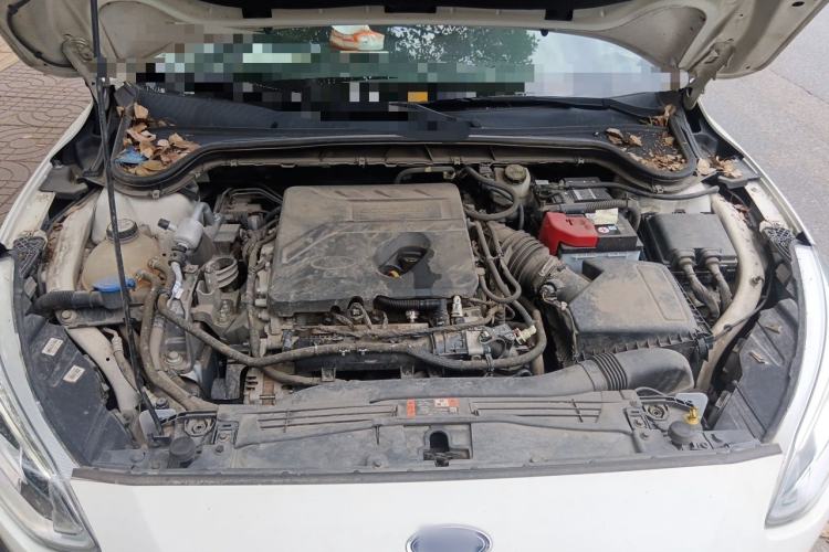 Used Ford Focus 2019 Hatchback EcoBoost 180 Automatic Trendy Model Engine Bay