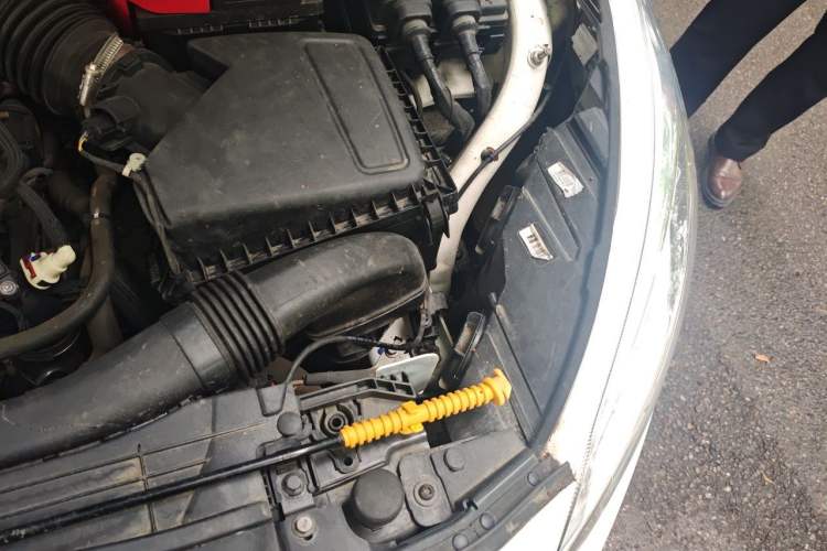 Used Ford Focus 2019 Sedan EcoBoost 180 Automatic Trend Edition Engine Bay Left