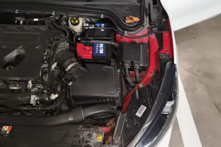 Used Ford Focus 2019 Sedan EcoBoost 180 Automatic ST Line Engine Bay Left