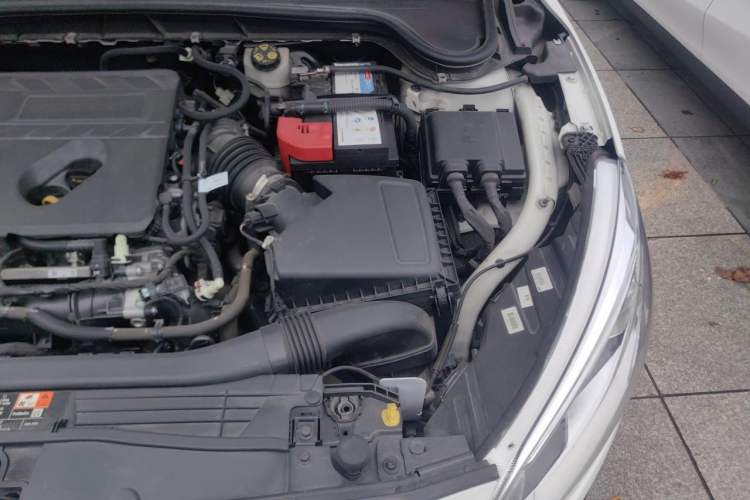Used Ford Focus 2019 Sedan EcoBoost 180 Automatic Trend Edition Engine Bay Left
