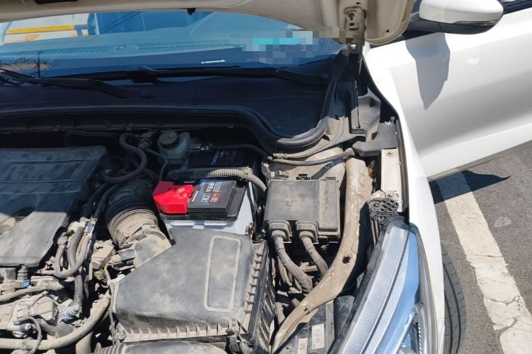 Used Ford Focus 2019 Hatchback EcoBoost 180 Automatic Trendy Model Engine Bay Left