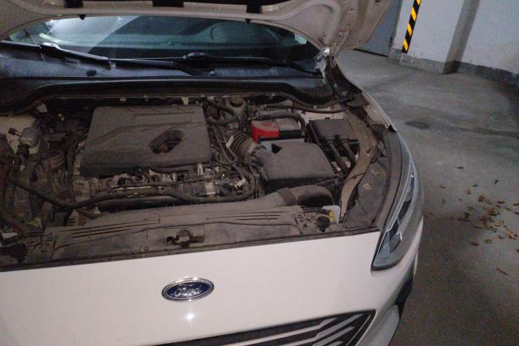 Used Ford Focus 2019 Hatchback EcoBoost 180 Automatic Trendy Model Engine Bay Left