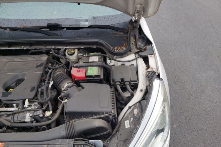 Used Ford Focus 2019 Sedan EcoBoost 180 Automatic Trend Edition Engine Bay Left