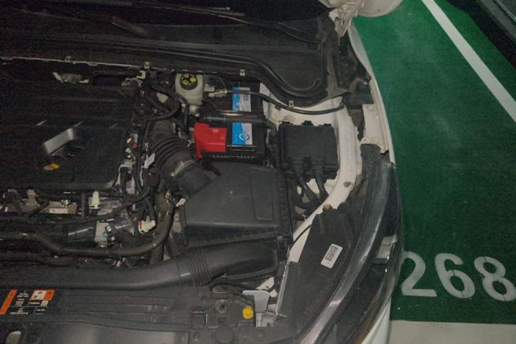 Used Ford Focus 2019 Sedan EcoBoost 180 Automatic ST Line Engine Bay Left