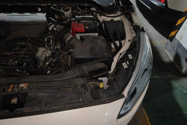 Used Ford Focus 2019 Sedan EcoBoost 125 Automatic Trendy Model China V Standard Engine Bay Left