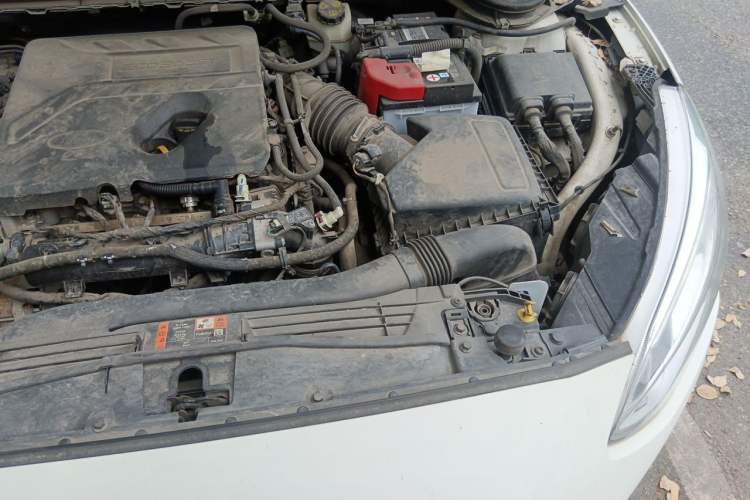 Used Ford Focus 2019 Hatchback EcoBoost 180 Automatic Trendy Model Engine Bay Left