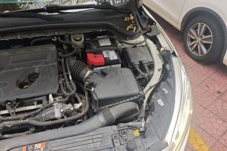 Used Ford Focus 2019 Hatchback EcoBoost 180 Automatic Trendy Model Engine Bay Left