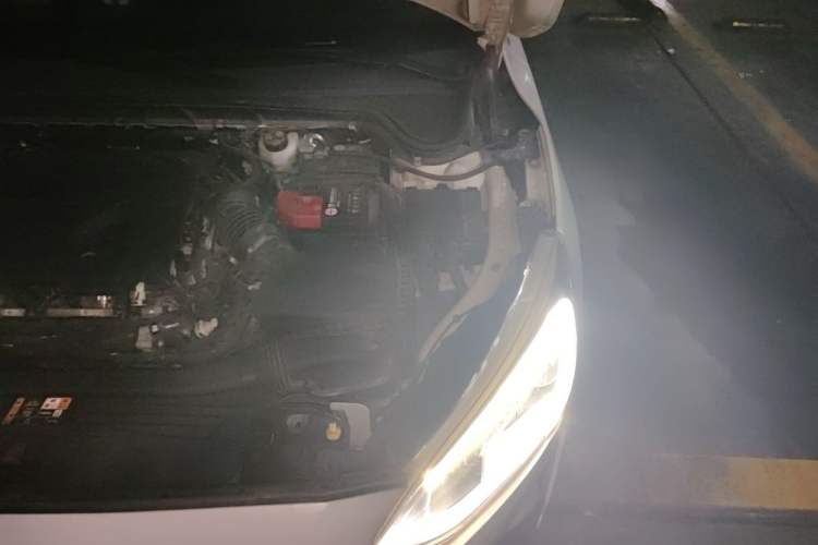 Used Ford Focus 2019 Hatchback EcoBoost 180 Automatic Trendy Model Engine Bay Left