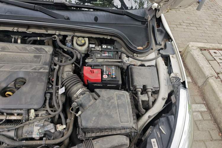 Used Ford Focus 2019 Hatchback EcoBoost 180 Automatic Trendy Model Engine Bay Left