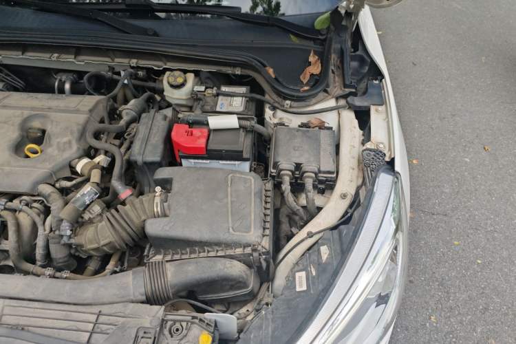 Used Ford Focus 2019 Hatchback 1.5L Automatic Fengeyue Model China VI Standard Engine Bay Left