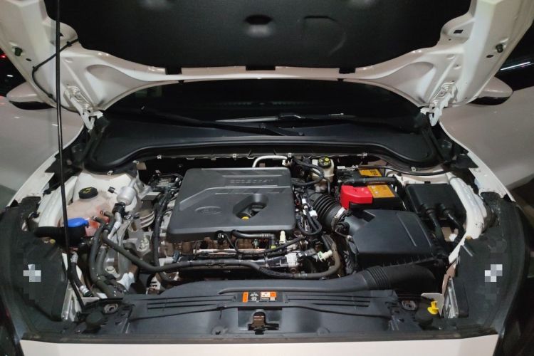 Used Ford Focus 2019 Sedan EcoBoost 180 Automatic ST Line Engine Bay