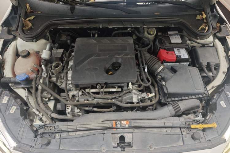 Used Ford Focus 2019 Hatchback EcoBoost 180 Automatic Trendy Model Engine Bay