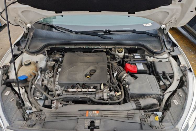 Used Ford Focus 2019 Sedan EcoBoost 180 Automatic Trend Edition Engine Bay