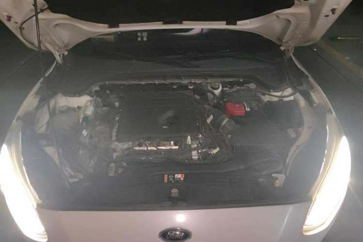 Used Ford Focus 2019 Hatchback EcoBoost 180 Automatic Trendy Model Engine Bay