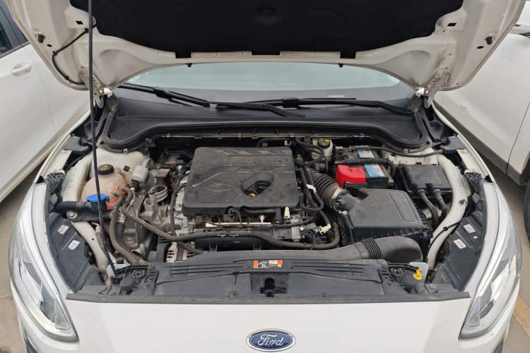 Used Ford Focus 2019 Hatchback EcoBoost 180 Automatic Trendy Model Engine Bay