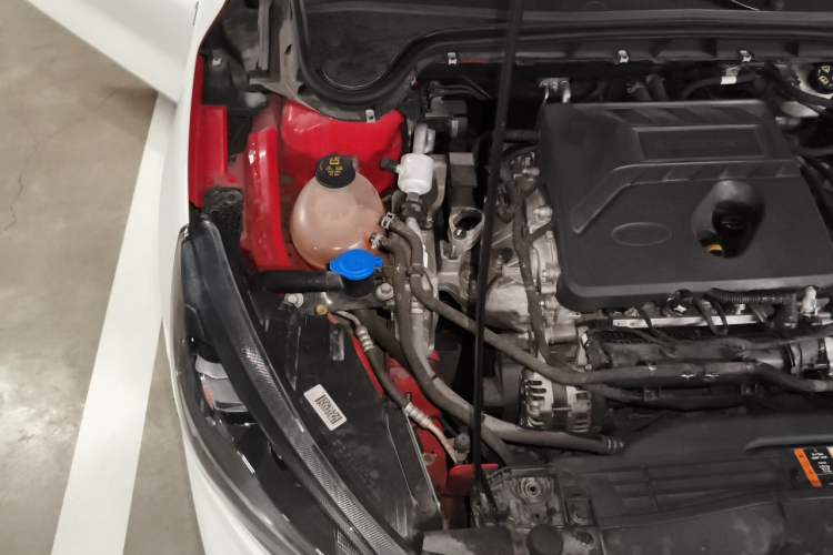 Used Ford Focus 2019 Sedan EcoBoost 180 Automatic ST Line Engine Bay Right