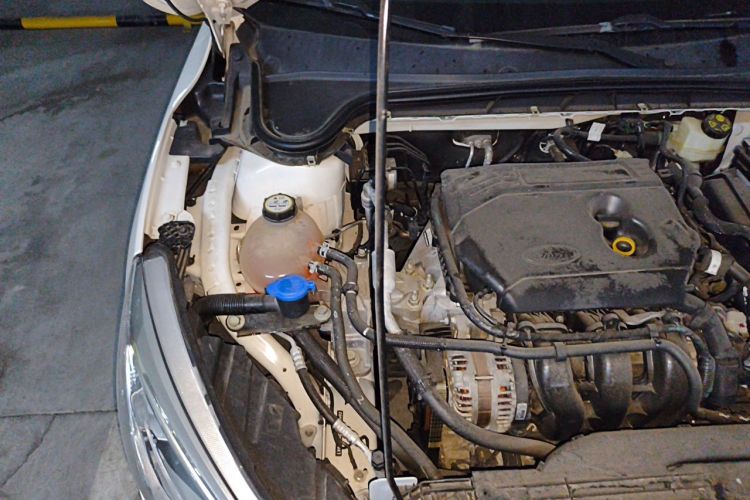 Used Ford Focus 2019 Sedan 1.5L Automatic FENGYUE Model China V Standard Engine Bay Right