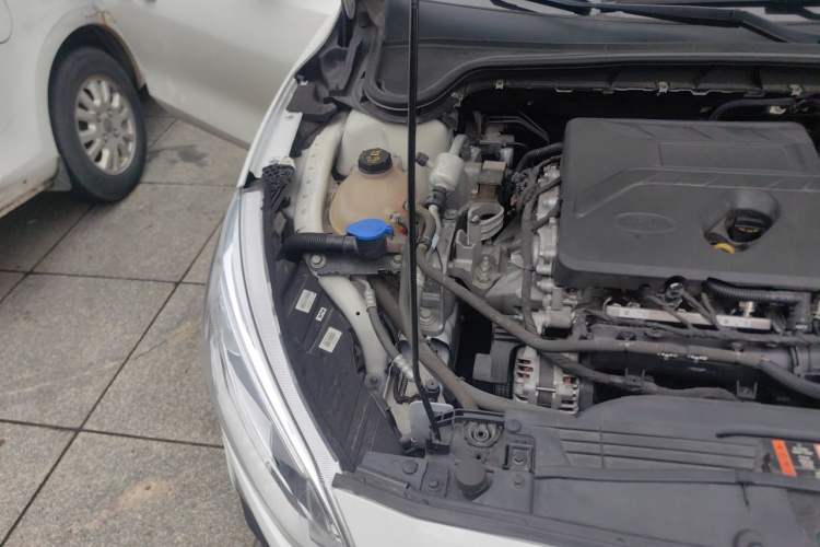 Used Ford Focus 2019 Sedan EcoBoost 180 Automatic Trend Edition Engine Bay Right