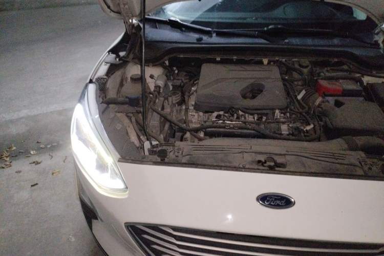 Used Ford Focus 2019 Hatchback EcoBoost 180 Automatic Trendy Model Engine Bay Right