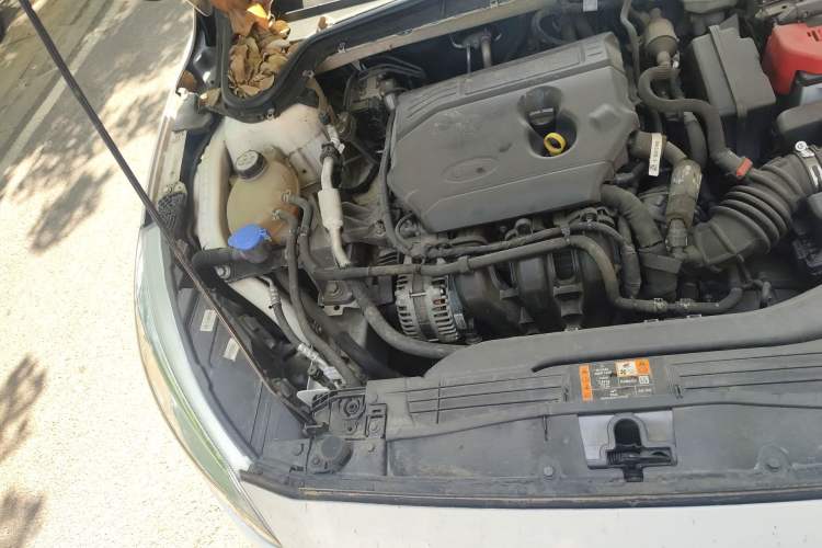 Used Ford Focus 2019 Hatchback 1.5L Automatic Sharp Edition China V Standard Engine Bay Right