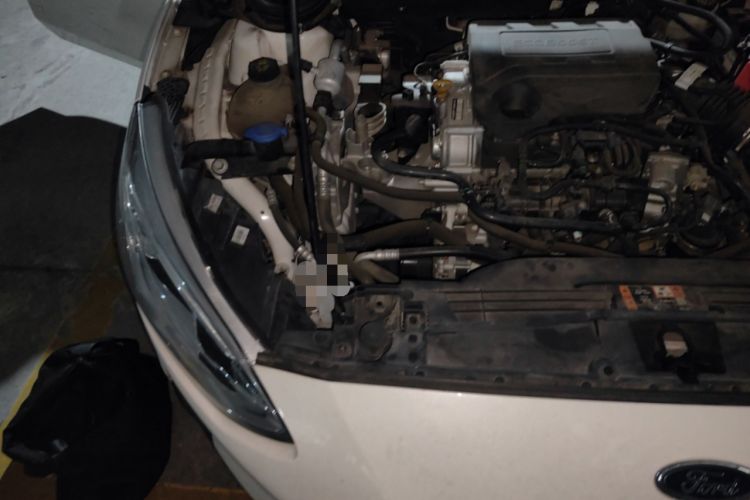 Used Ford Focus 2019 Sedan EcoBoost 125 Automatic Trendy Model China V Standard Engine Bay Right