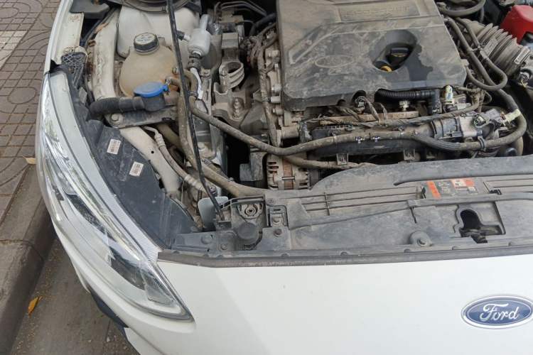 Used Ford Focus 2019 Hatchback EcoBoost 180 Automatic Trendy Model Engine Bay Right
