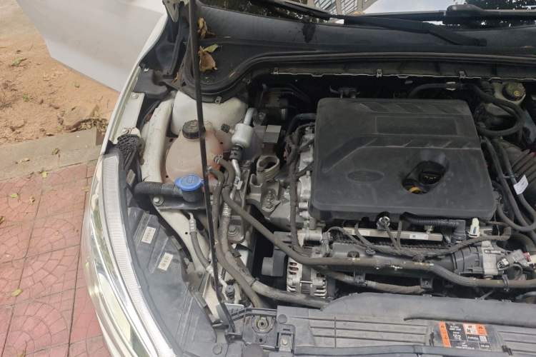 Used Ford Focus 2019 Hatchback EcoBoost 180 Automatic Trendy Model Engine Bay Right