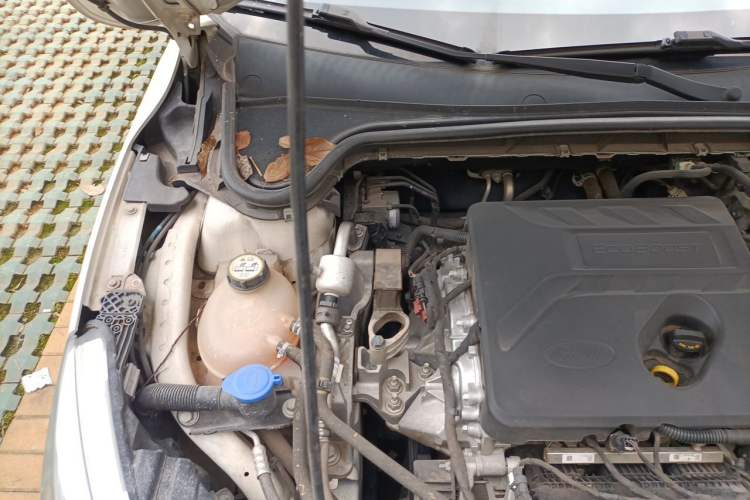 Used Ford Focus 2019 Hatchback EcoBoost 180 Automatic Trendy Model Engine Bay Right
