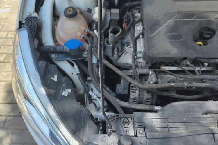 Used Ford Focus 2019 Hatchback EcoBoost 180 Automatic Trendy Model Engine Bay Right