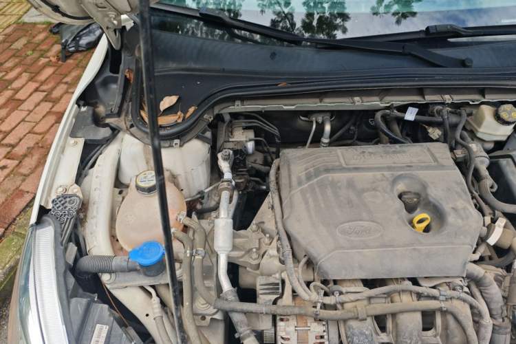 Used Ford Focus 2019 Hatchback 1.5L Automatic Fengeyue Model China VI Standard Engine Bay Right