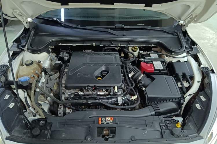 Used Ford Focus 2019 Hatchback EcoBoost 180 Automatic Trendy Model Engine Bay