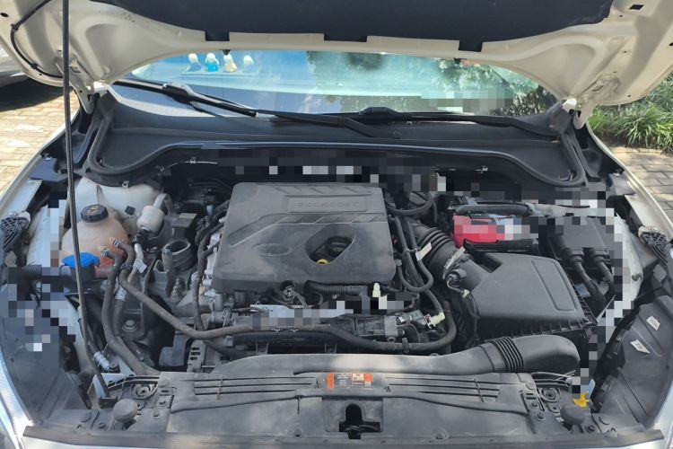Used Ford Focus 2019 Hatchback EcoBoost 180 Automatic Trendy Model Engine Bay