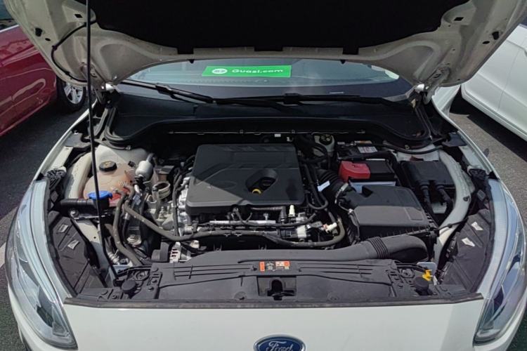 Used Ford Focus 2019 Hatchback EcoBoost 180 Automatic Trendy Model Engine Bay