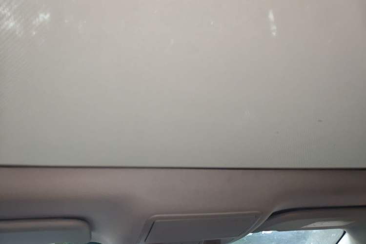 Used Ford Focus 2019 Sedan EcoBoost 180 Automatic Trend Edition Headliner