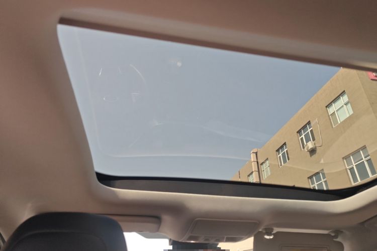 Used Ford Focus 2019 Sedan EcoBoost 180 Automatic Titanium Edition Headliner