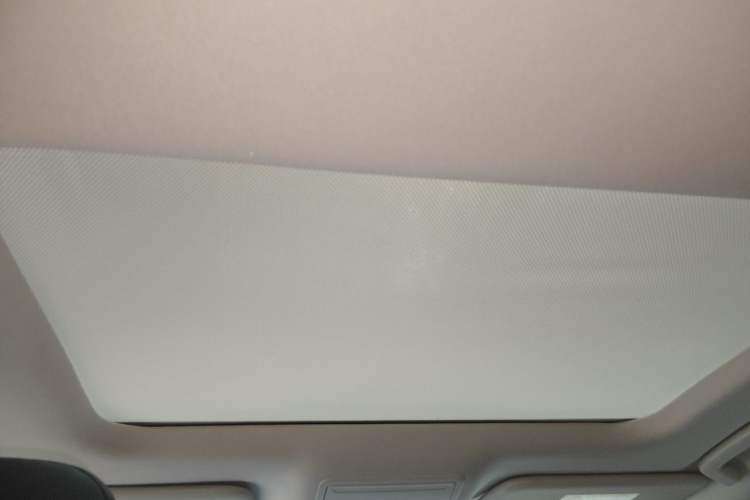 Used Ford Focus 2019 Hatchback EcoBoost 180 Automatic Trendy Model Headliner
