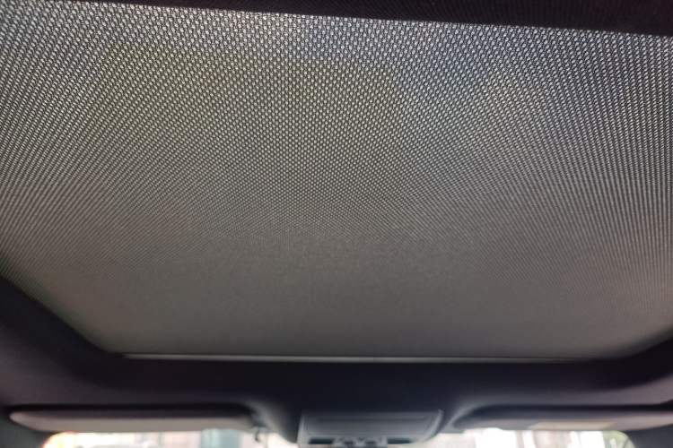 Used Ford Focus 2019 Sedan EcoBoost 180 Automatic ST Line Headliner