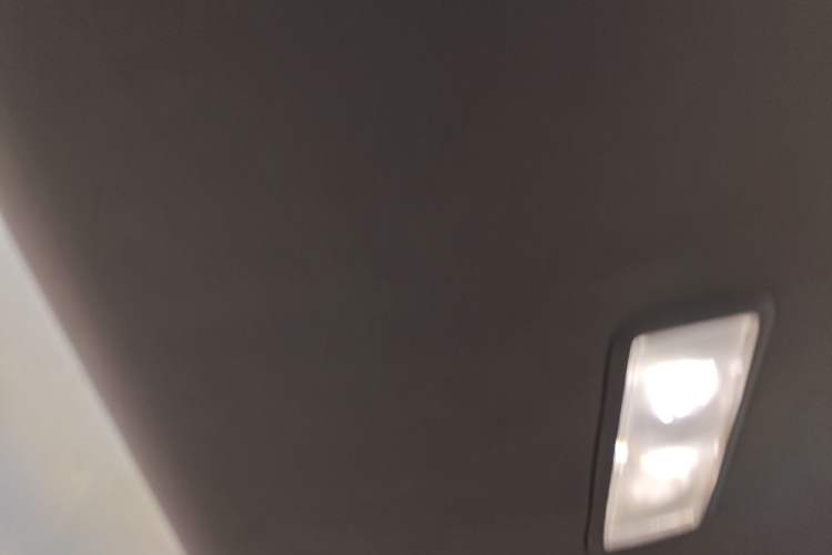 Used Ford Focus 2019 Sedan EcoBoost 180 Automatic Trend Edition Headliner