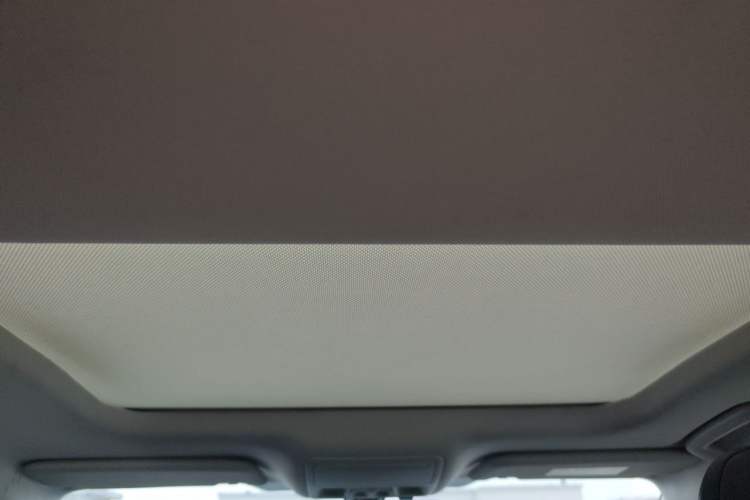 Used Ford Focus 2019 Sedan EcoBoost 180 Automatic Trend Edition Headliner