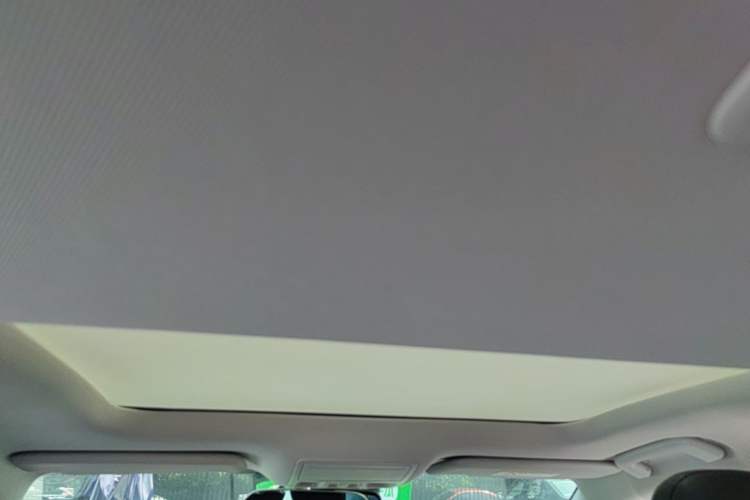 Used Ford Focus 2019 Hatchback EcoBoost 180 Automatic Trendy Model Headliner