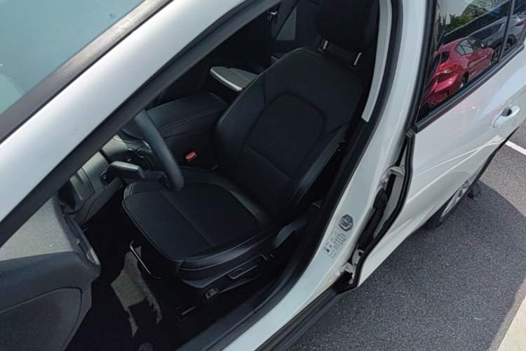 Used Ford Focus 2019 Hatchback EcoBoost 180 Automatic Trendy Model Left Front Seat