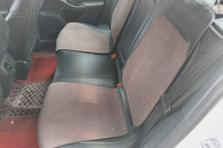 Used Ford Focus 2019 Sedan EcoBoost 125 Automatic Trendy Model China V Standard Left Rear Seat