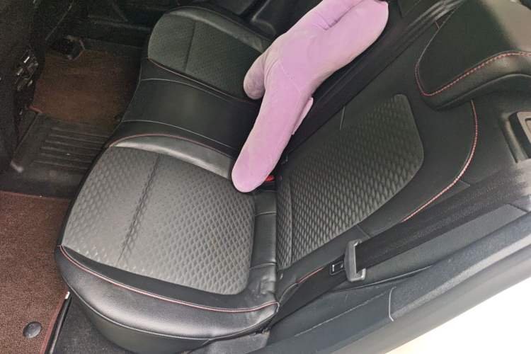 Used Ford Focus 2019 Sedan EcoBoost 180 Automatic ST Line Left Rear Seat