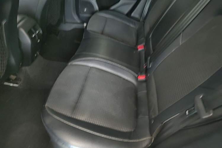 Used Ford Focus 2019 Sedan EcoBoost 180 Automatic Trend Edition Left Rear Seat