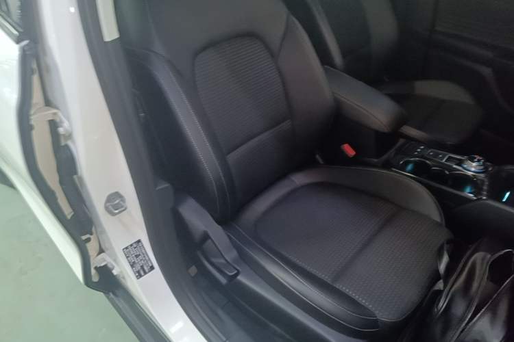 Used Ford Focus 2019 Hatchback EcoBoost 180 Automatic Trendy Model Right Front Seat