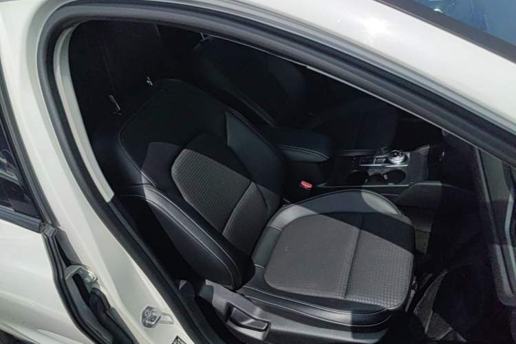 Used Ford Focus 2019 Hatchback EcoBoost 180 Automatic Trendy Model Right Front Seat